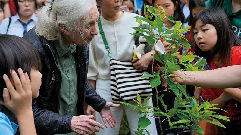 Tree Planting and Closing Remarks by Dr. Jane Goodall
