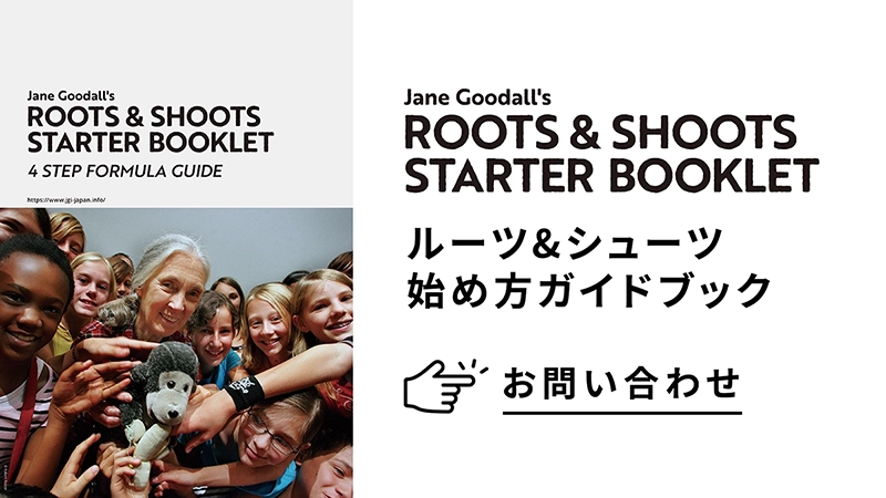 ルーツ&シューツの始め方ガイドブック